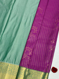 Semi Dharmavaram Pattu view 2